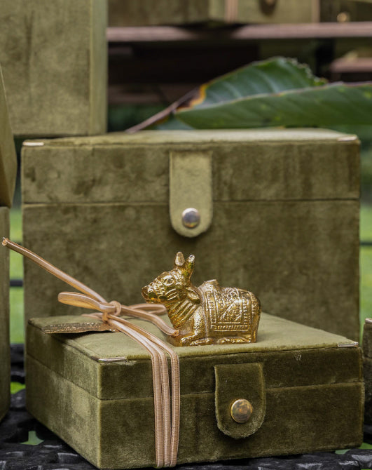 Nandi Coin Box